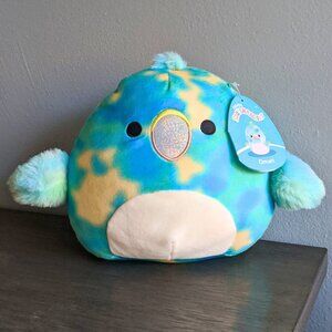 NWT 8” Omari the Tie-Dye Parrot Squishmallow